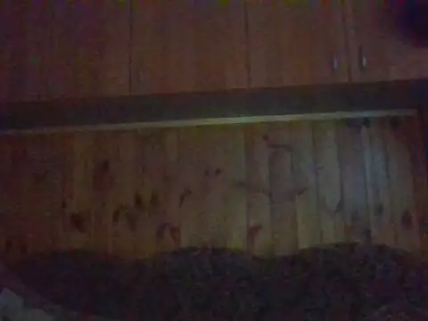 Chat XXX en directo de Maksymilian1