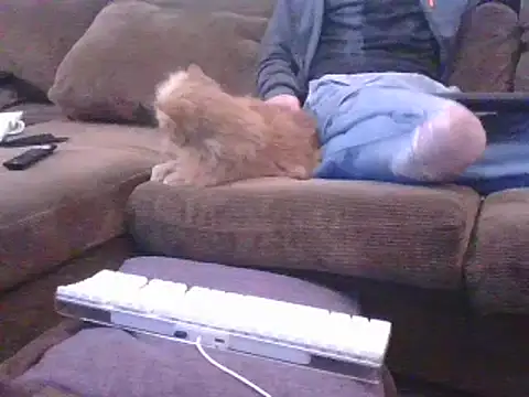 Jassonishorny: διαδικτυακ ό σόου στην κάμερα