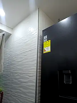 Show Webcam de eva-2023