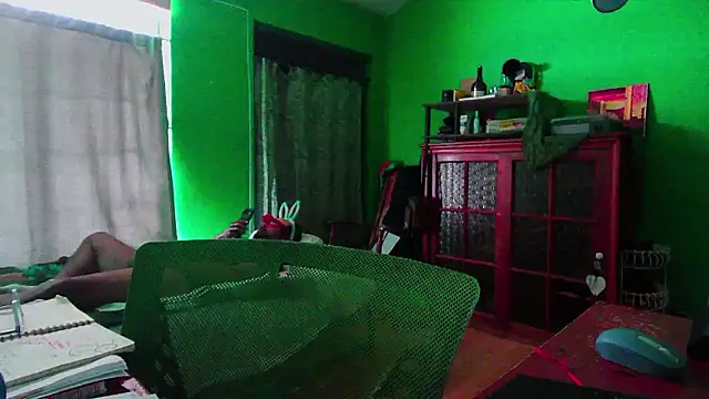 _______the Webcamshow