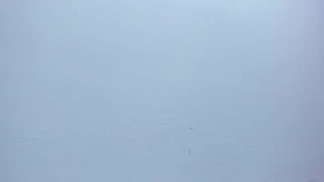 Chat XXX Live Sara_connor01