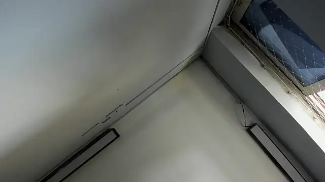 Show webcam de Michel_Flores