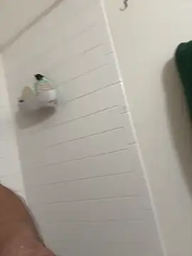 faces818 Show in webcam