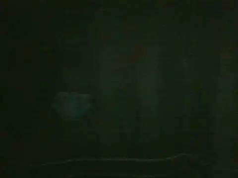 smroy93612 即時 XXX 聊天