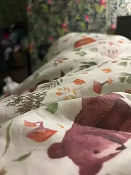 Show de webcam de HairyButHot