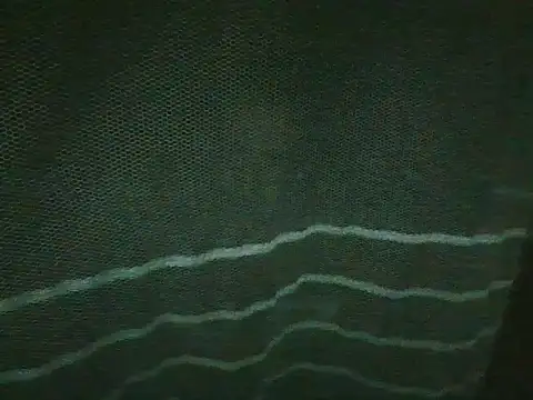 Show Webcam de smroy93612