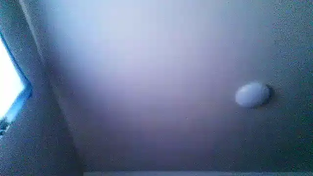 Živý XXX chat BalticPallor