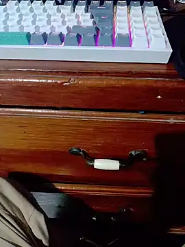 Haplis ওয়েবক্যাম শো