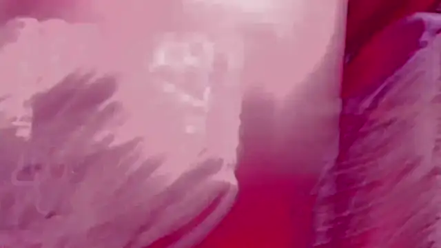 Chat XXX en directo de HarperrWest