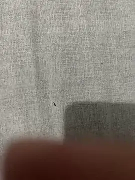 عرض كام Yusufcan1922