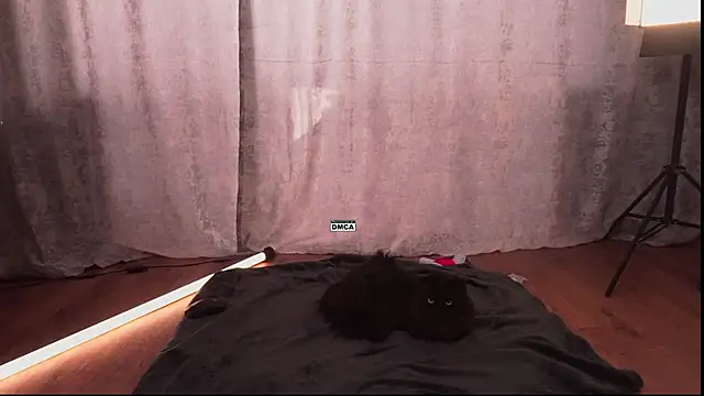 Hoot_owl_cb Live XXX-chat