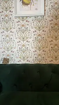 Lacey-BBW 라이브 XXX 채팅