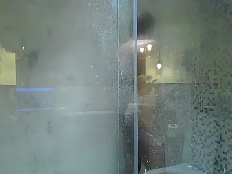 Show webcam de rarindam17