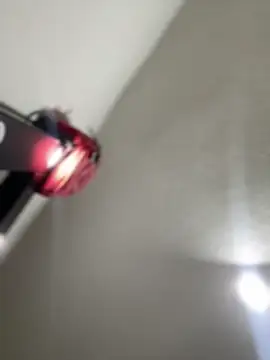 XXX chat uživo modela Mila_Morgan