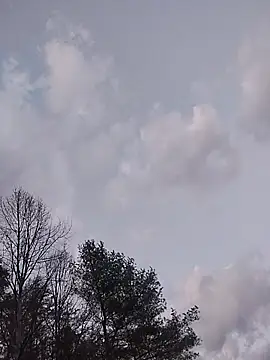 Sembang XXX Secara Langsung Biknight