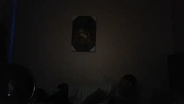 hailzeffn's Webcam Show