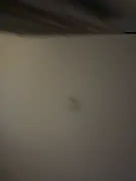 MackGz0224 webkamerás műsora