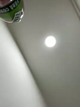 Bella_Vixen_ 웹캠 쇼