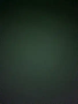 wadmma 网络视讯表演