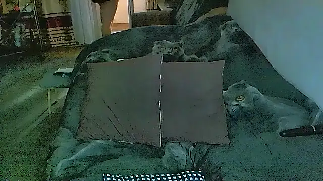 sex2 即時 XXX 聊天