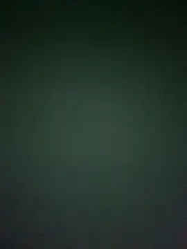 Pertunjukan Kamera Web wadmma