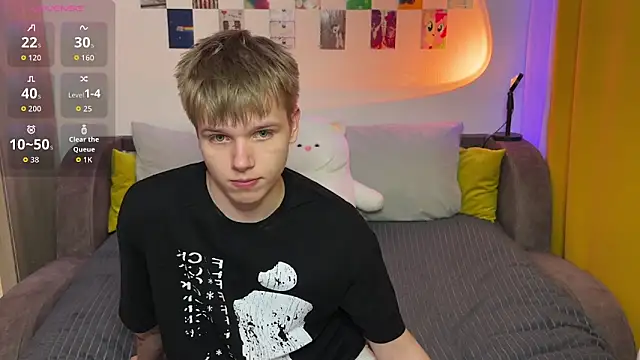 metarion webcam show