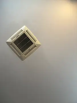 EmmylieMorris Live XXX-Chat