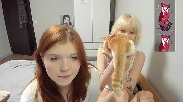 Vivy_ 网络视讯表演