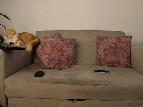 abbey_all Obrolan Langsung XXX