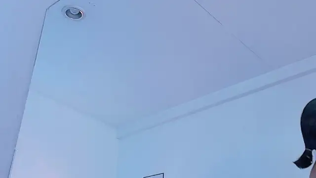 cutepetitee 现场XXX聊天