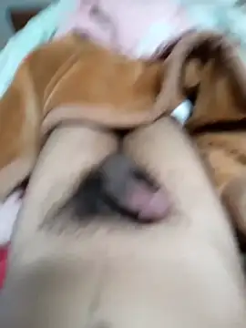 Živý XXX chat pepuperumessi