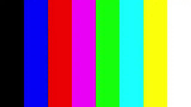 SherleyBorgmann Live XXX Chat