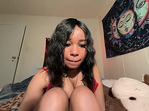 Chat +18 de venusfairys ao vivo