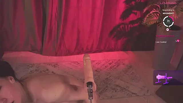 MomentoDory's Webcam Show