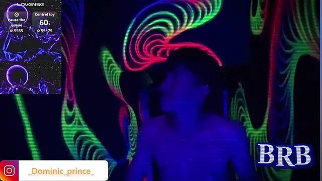 DominicPrince Webcam-Show