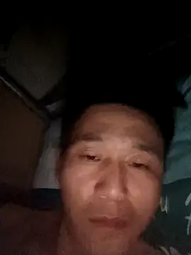 wadmma 网络视讯表演