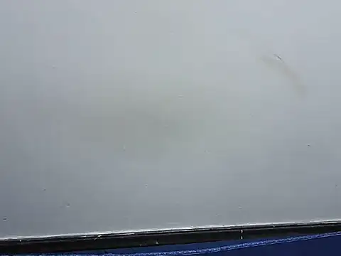 دردشة prettybeee الجنسية المباشرة