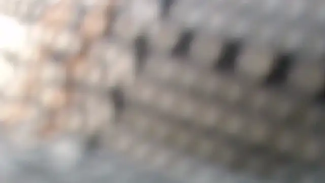 Evelyn_Sheeran Live XXX Chat