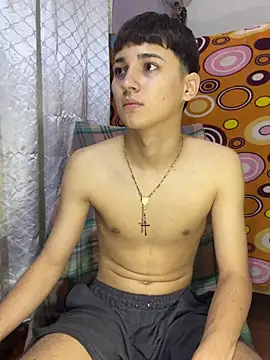 Artursmithn Webbikameraesitys