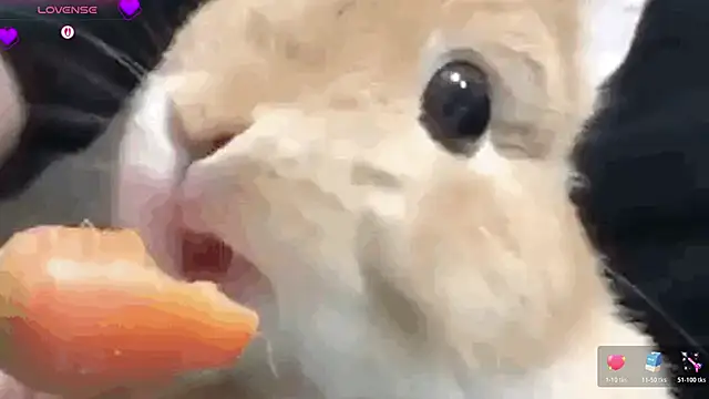 Chat XXX Live mistylana_