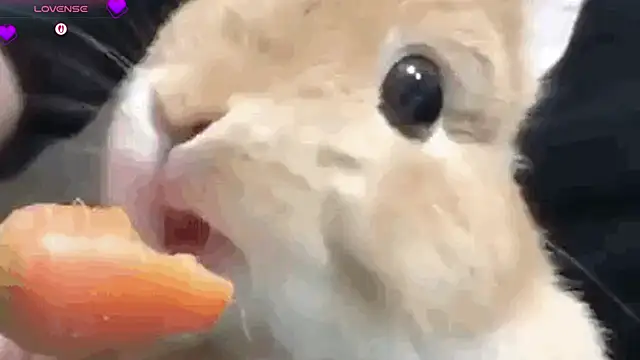 Sembang XXX Secara Langsung mistylana_