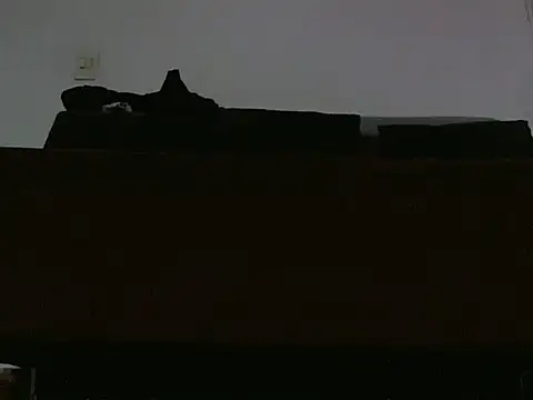 แชท XXX สดของ findomlatin