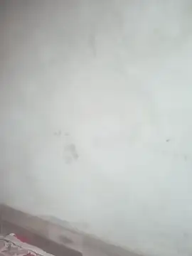 عرض كام BigShot-Boy