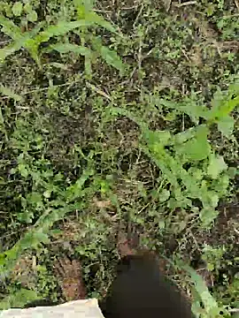 Chat XXX en directo de ThethunderPo