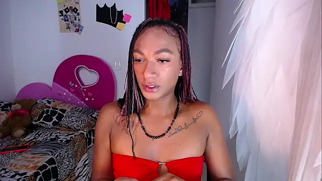 samy_dolln Webbikameraesitys