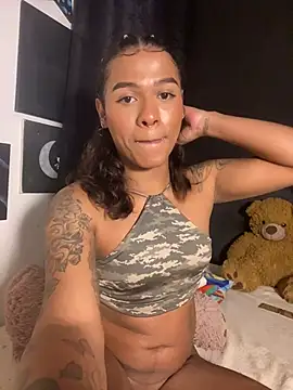 cam11_07n Webbikameraesitys