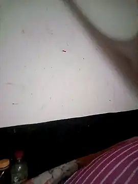 Show Webcam de Ripa-