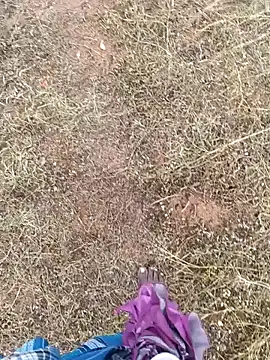 dolphiinn: онлайн-секс-чат