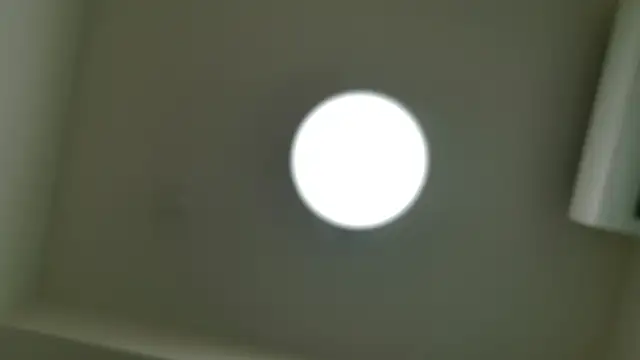 Mary-JP Live XXX-Chat