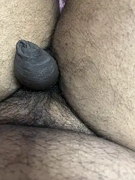 Gotghsg Pertunjukan Webcam